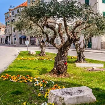 Centar Manus Διαμέρισμα Σπλιτ